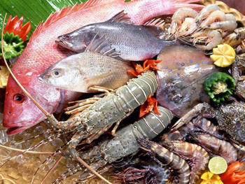 10 خوراکی شگفت انگیز برای لاغرها