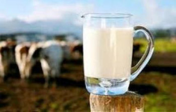 10 خوراکی شگفت انگیز برای لاغرها