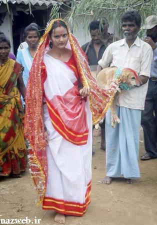 ازدواج جنجالی دختر زیبای هندی با سگ ولگرد! + عکس