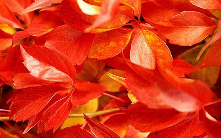 عکس های خفن و دیدنی (48)