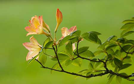 عکس های خفن و دیدنی (48)