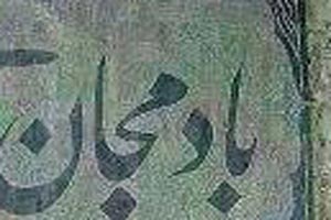 این زن سنگ قبرش بادمجان است!! (تصویری)