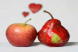 اختلافات اساسی در ازدواج را بدانید