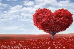 آموزش عاشقانه زندگی کردن کنار همسرتان