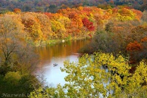 Autumn beautiful world (stunning visuals)