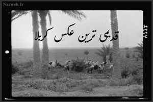 تصاویر دیدنی کربلا در سال 1310 هجری شمسی تصاویر دیدنی کربلا در سال 1310 هجری شمسی