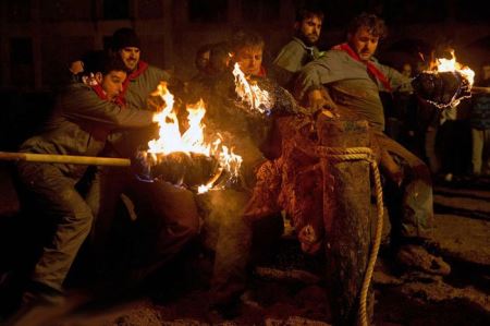 ١٦+ جنجال آتش زدن گاوها در فستیوال اسپانیا + تصاویر 