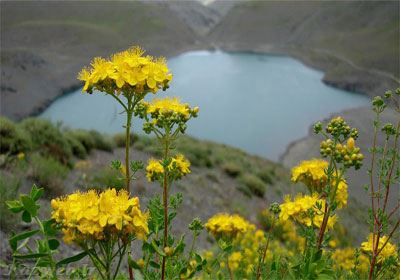 جاذبه های دیدنی گلمکان در خراسان + تصاویر