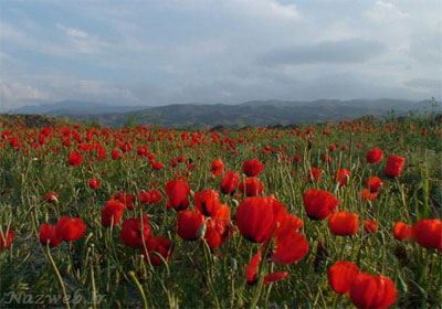 جاذبه های دیدنی گلمکان در خراسان + تصاویر