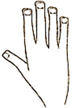 فال و طالع بینی دست ترکی + تصاویر