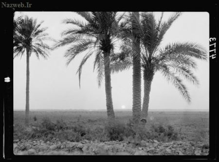 تصاویر دیدنی کربلا در سال 1310 هجری شمسی