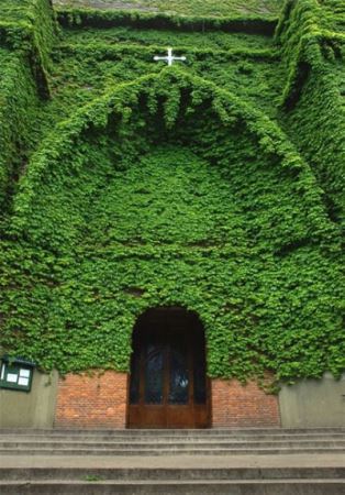 عجیب ترین کلیساهای دنیا با معماری های بسیار دیدنی