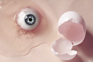 انگیزه جنجالی فروش چربی انسان + عکس