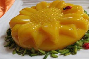 طرز تهیه ی انواع سالاد ها و دسرهای ژلاتینی