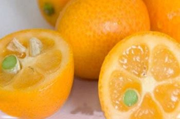 16 میوه لوکس و عجیب و غریب همراه با تصاویر