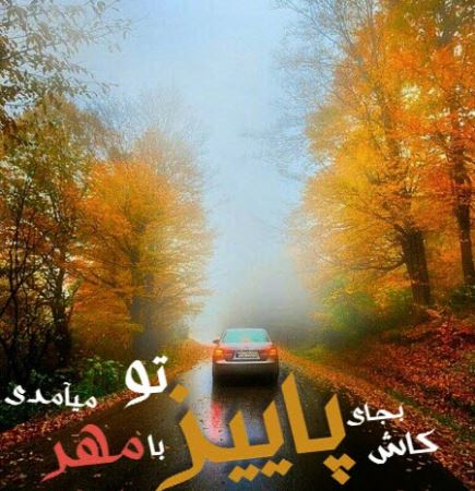 ناز و زیباترین عکس نوشته های عاشقانه و رمانتیک (6)