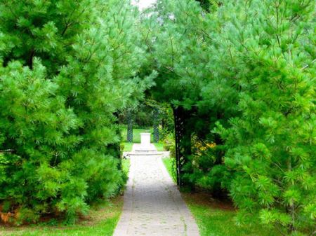 دیدنی خواندنی های جالب سنترال پارک (تصاویر)