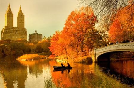 دیدنی خواندنی های جالب سنترال پارک (تصاویر)