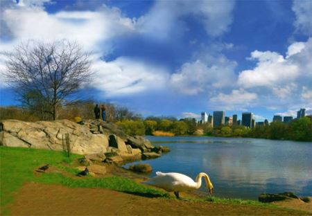 دیدنی خواندنی های جالب سنترال پارک (تصاویر)