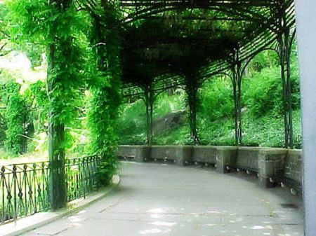 دیدنی خواندنی های جالب سنترال پارک (تصاویر)