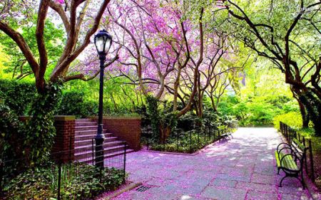 دیدنی خواندنی های جالب سنترال پارک (تصاویر)