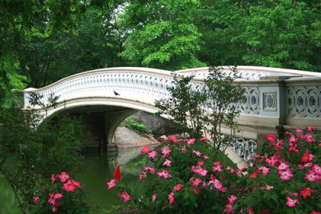دیدنی خواندنی های جالب سنترال پارک (تصاویر)