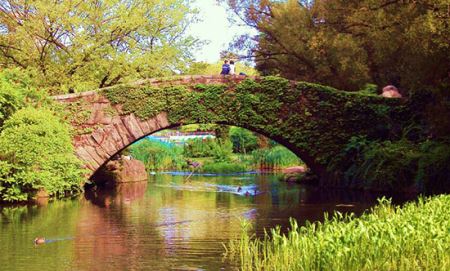 دیدنی خواندنی های جالب سنترال پارک (تصاویر)
