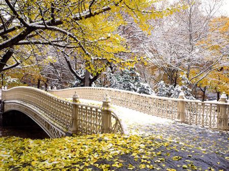 دیدنی خواندنی های جالب سنترال پارک (تصاویر)