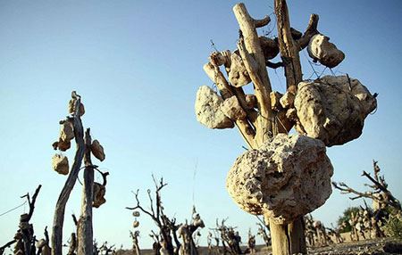 باغ مرموز و عجیب با میوه های سنگی در ایران ! + تصاویر