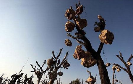 باغ مرموز و عجیب با میوه های سنگی در ایران ! + تصاویر
