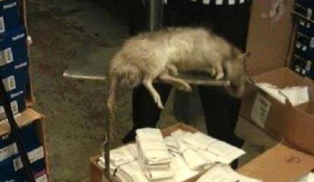 عریان شدن زنی در مقابل چشم همه به دلیل ... + عکس
