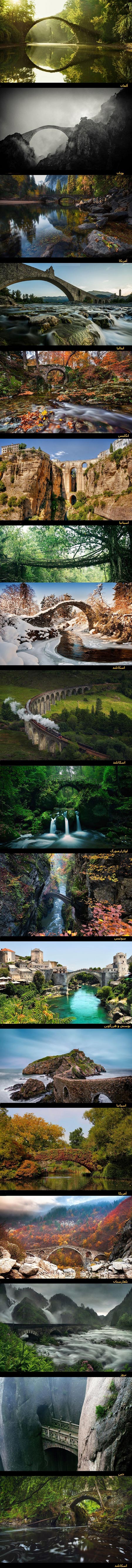 جادویی ترین پل های بی نظیر در دل طبیعت (تصاویر)
