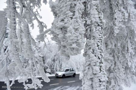 گزارش تصویری از یخ زدن اروپا