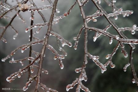 گزارش تصویری از یخ زدن اروپا