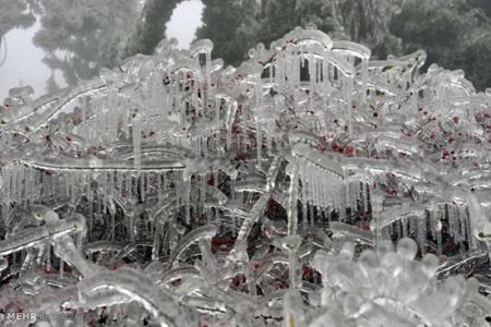 گزارش تصویری از یخ زدن اروپا