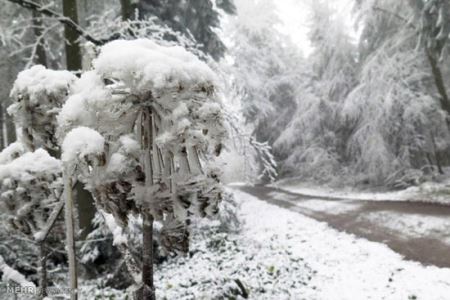 گزارش تصویری از یخ زدن اروپا