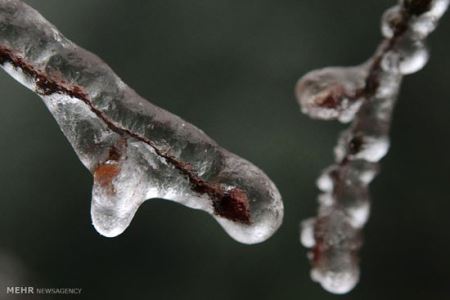 گزارش تصویری از یخ زدن اروپا