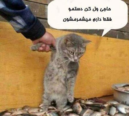 با حال ترین عکس های خنده دار جدید و به روز (17)