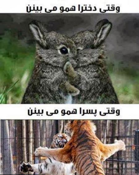 با حال ترین عکس های خنده دار جدید و به روز (17)