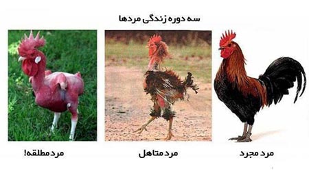 با حال ترین عکس های خنده دار جدید و به روز (17)