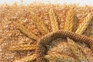 لاغری با سبوس و جوانه ها لاغری با سبوس و جوانه ها