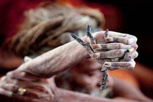 اقدام چندش آور مرتاض های هندی! + عکس اقدام چندش آور مرتاض های هندی! + عکس