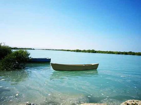 گردشی هیجان انگیز در جنگل حرا (تصاویر)