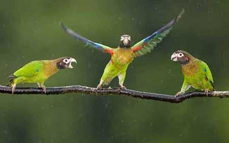عکس های جذاب و دیدنی (62)