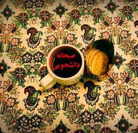 عکس های خنده دار و بسیار جالب دوران دانشجویی (3)
