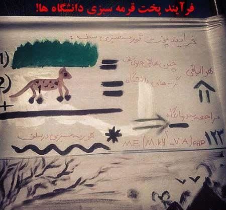 عکس های خنده دار و بسیار جالب دوران دانشجویی (3)