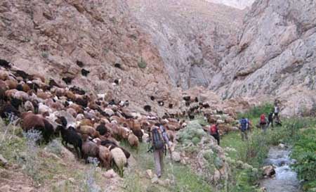 روستای لزور قطب های گردشگری و زیبای فیروزکوه (عکس)