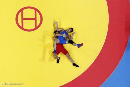عکس های بکر و دیدنی از بالا به دنیا نگاه کردن!