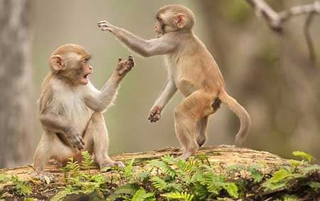 عکس های دیدنی و جذاب (65)