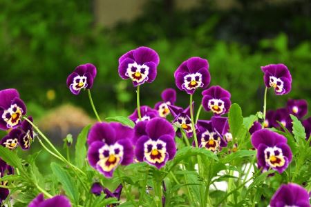 جلوه های بی نظیر و دیدنی از طبیعت زمین با معرفی مکان (تصاویر)